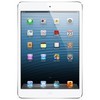 Apple iPad mini 16Gb Wi-Fi + Cellular белый - Горячий Ключ